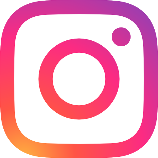 instagramLogo